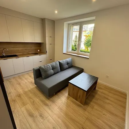 Apartament Loft Pod Bazylika *
